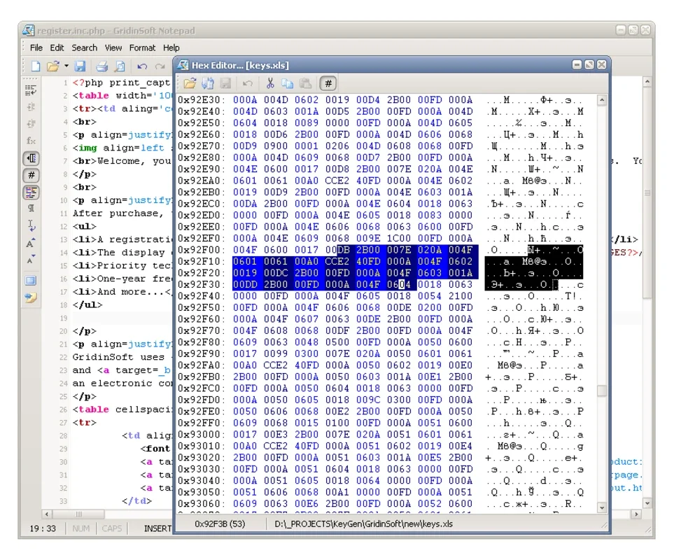 GridinSoft Notepad for Windows: Enhanced Notepad for Developers