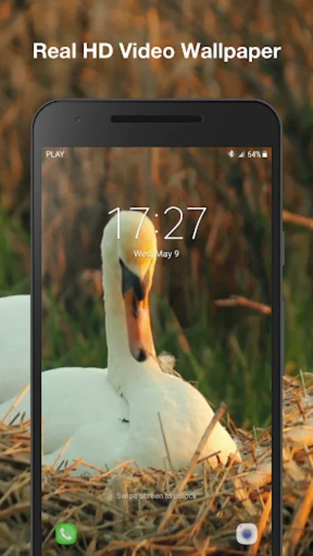 Swans Live Wallpaper for Android - Transform Your Screen
