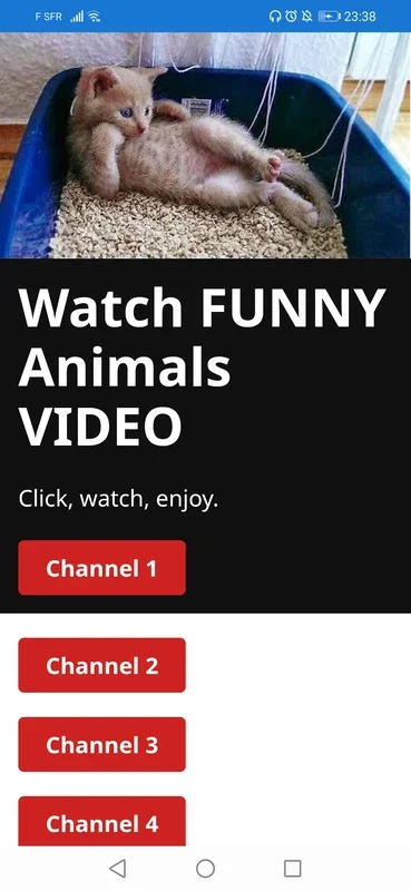 Funny Animals Video for Android - Enjoy Amusing Compilations