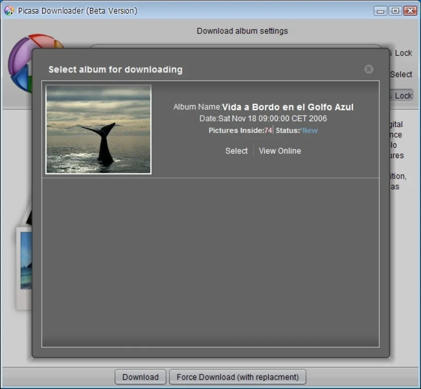 Picasa Album Downloader: Efficiently Download Picasa Albums on Windows