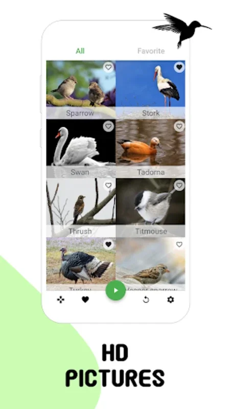 Bird Sounds for Android: Immerse in HD Bird Calls