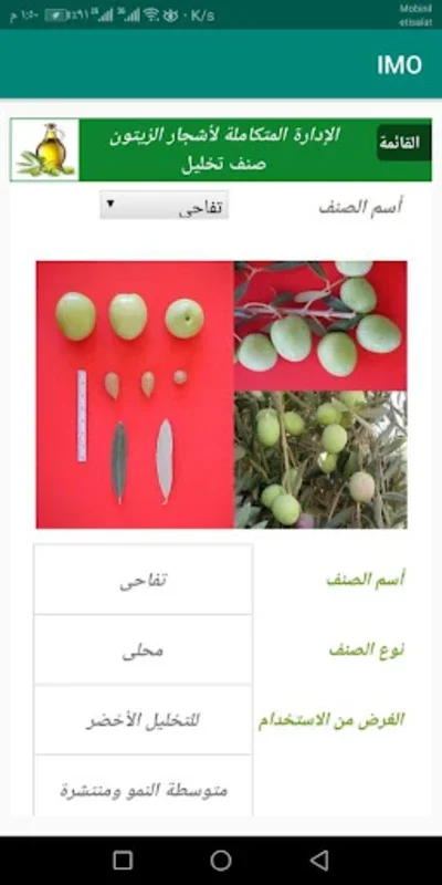 الادارة المتكامله للزيتون for Android: Optimize Olive Farming