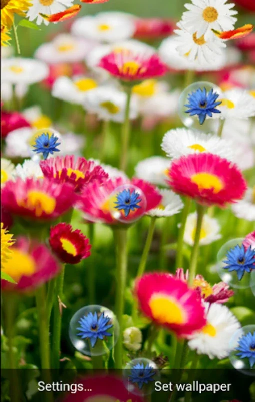 Spring Live Wallpaper for Android - Immerse in Vibrant Scenes