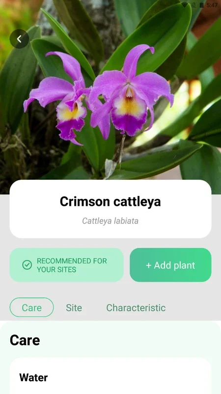 Plant Parent for Android - Keep Your Plants Thriving