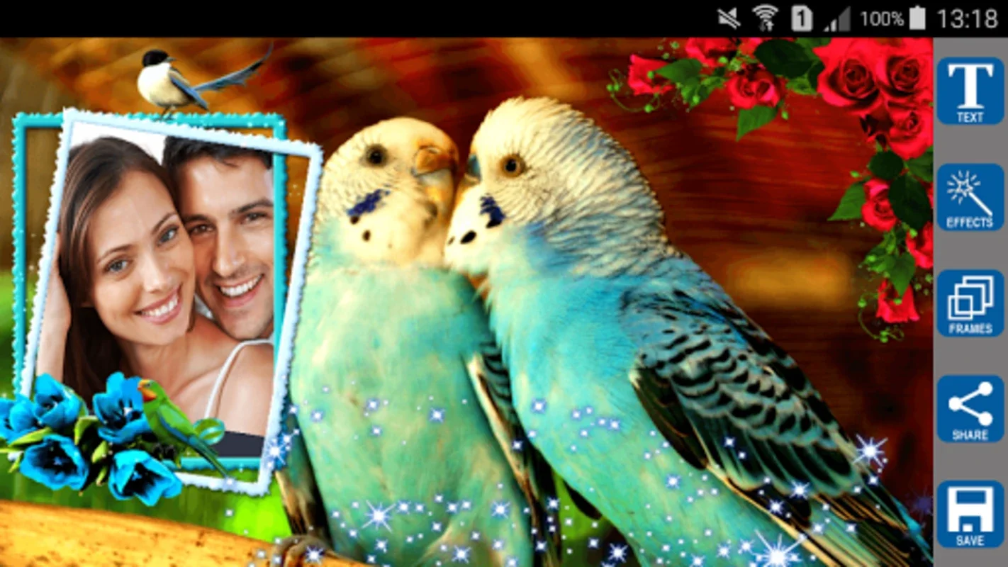 Love Birds Photo Frames for Android: Enhance Romance