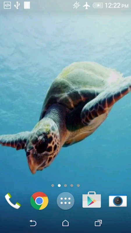 Turtle 3D Live Wallpaper for Android - Battery-Friendly Beauty