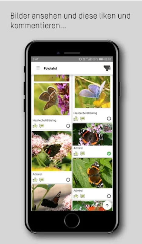 naturbeobachtung.at for Android - Record & Share Biodiversity