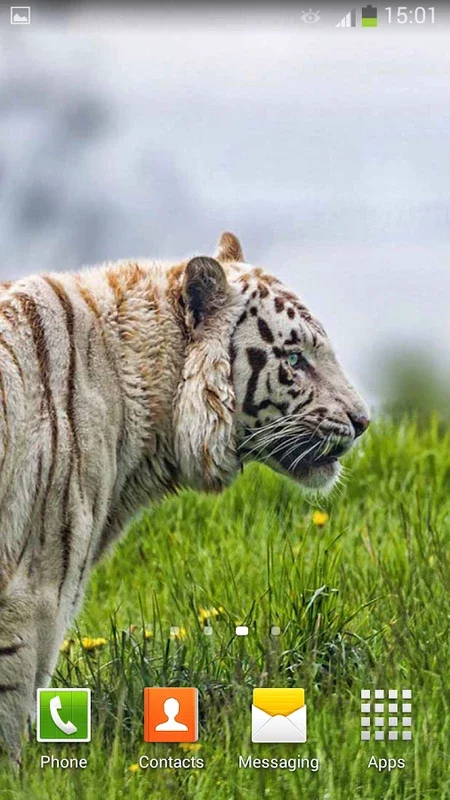 White Tiger Live Wallpaper for Android - Enhance Your Screen