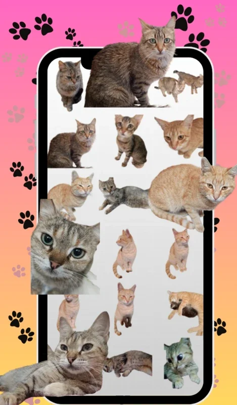 Cats Stickers for Android - Add Feline Fun to Your Chats