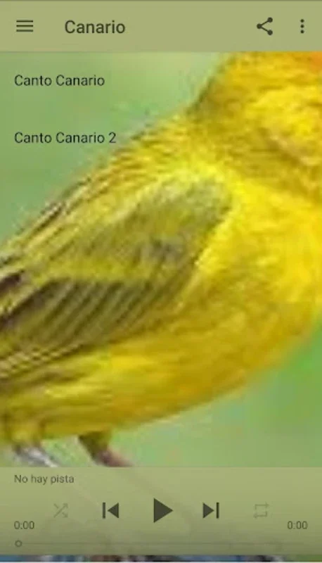 Canto Canario for Android - Enhance Your Canary's Singing