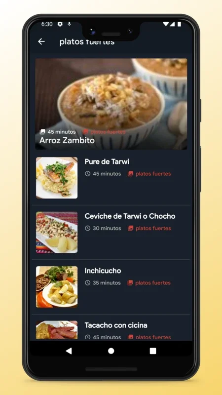 Peruvian Recipes - Food App for Android