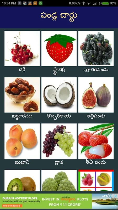 Fruits in Telugu for Android - Engaging Learning App