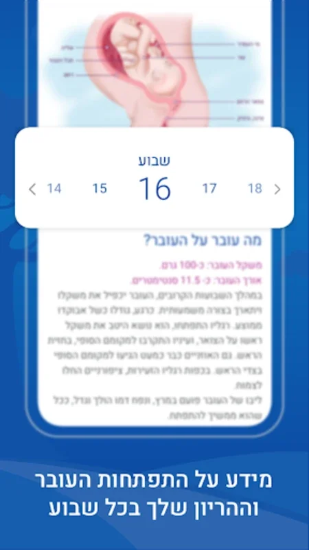 מכבי מעקב הריון for Android - A Pregnancy Companion