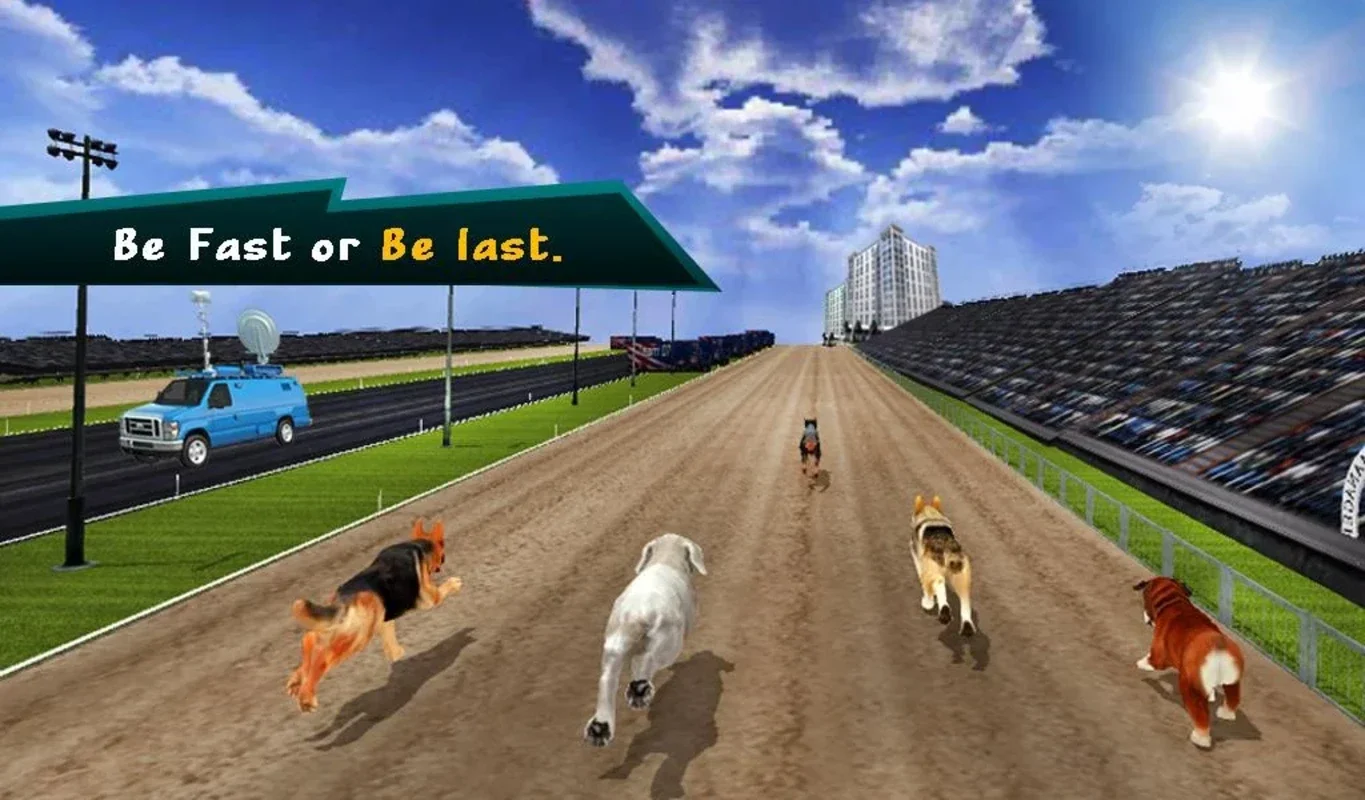 Wild Greyhound Dog Racing for Android - Thrilling Races