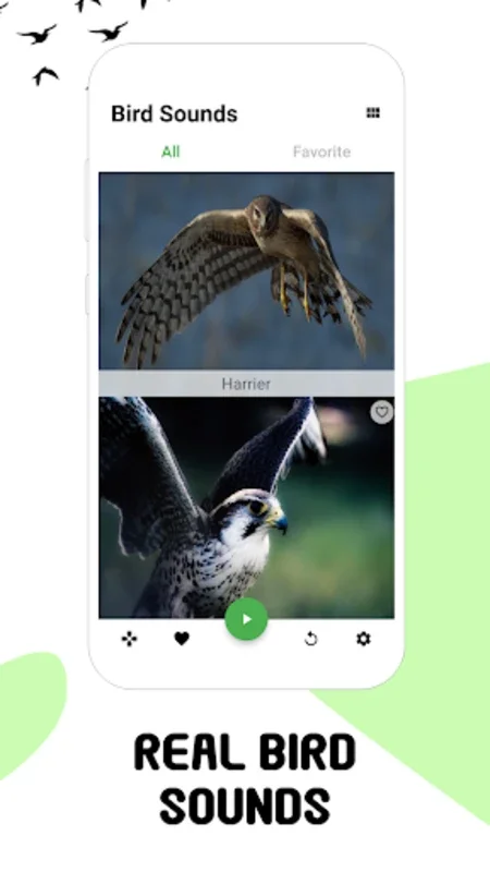 Bird Sounds for Android: Immerse in HD Bird Calls