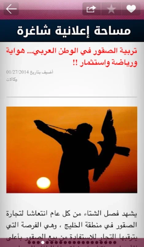 SAIDAONLINE for Android - Stay Informed with Arabic News