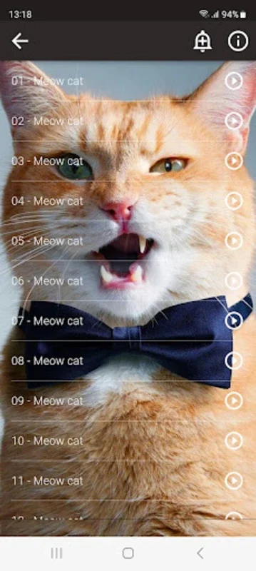 Cats Sounds for Android: Diverse Cat Sounds & Offline Fun