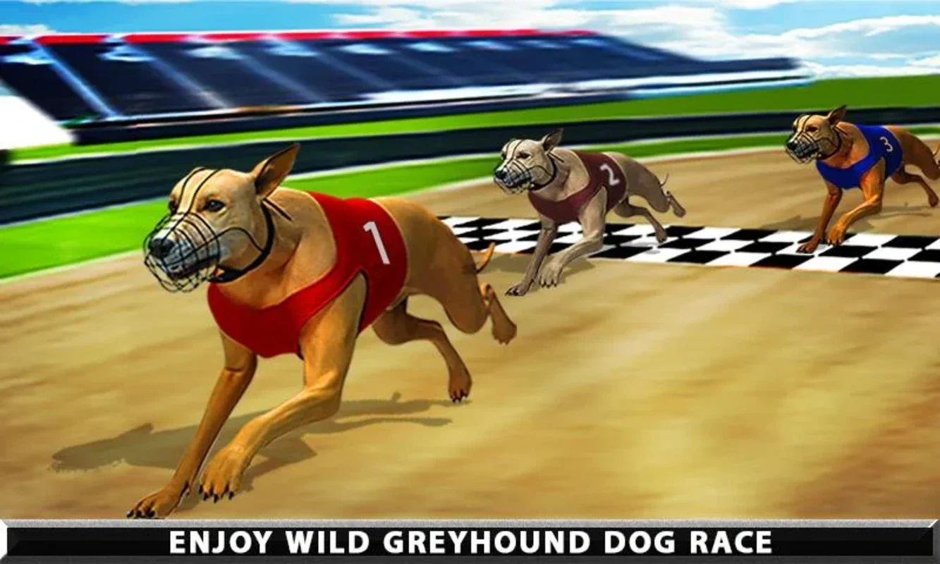 Wild Greyhound Dog Racing for Android - Thrilling Races