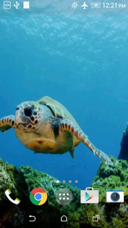 Turtle 3D Live Wallpaper for Android - Battery-Friendly Beauty