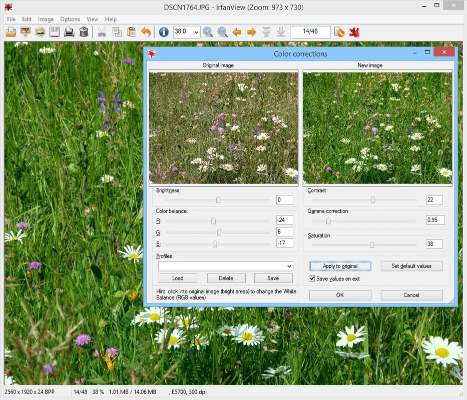 IrfanView for Windows - The Fastest Picture Viewer