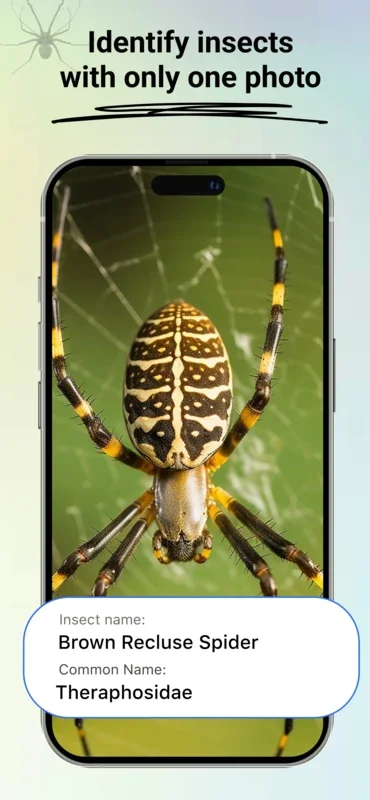 Bug Bite Identifier: Insect id for Android - Download the APK from AppHuts