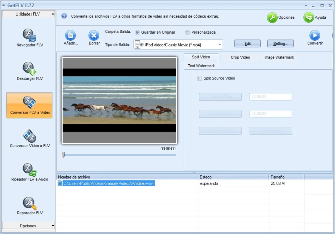 GetFLV for Windows - Your All - in - One FLV Video Solution