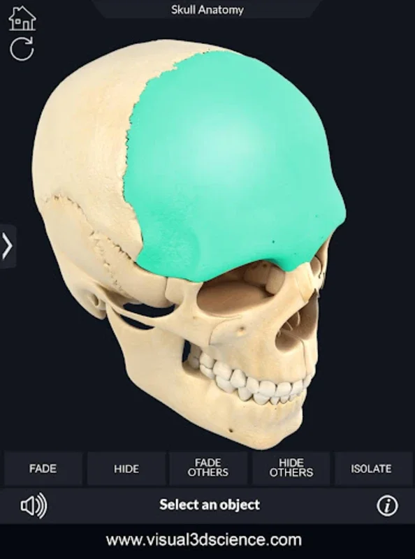 Skull Anatomy Pro. for Android: Immersive 3D Learning