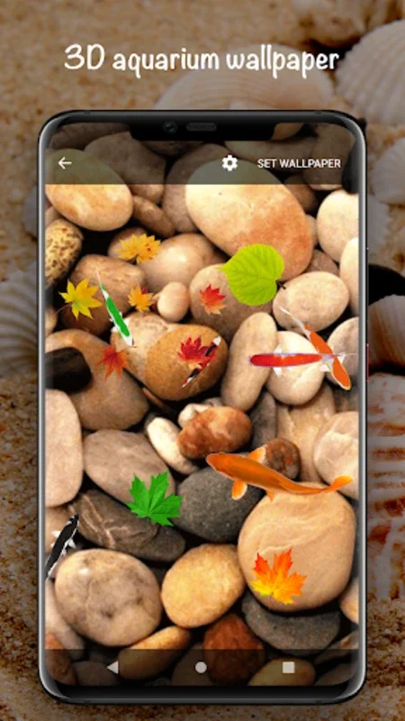 Fish On Screen 3D Wallpaper for Android - Transform Your Device