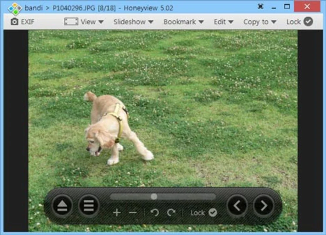 Honeyview for Windows - Super-Fast Image Viewer