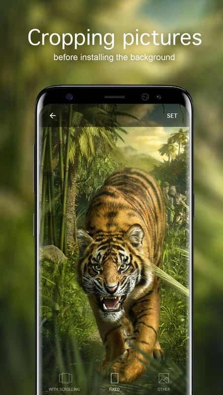 Tiger Wallpapers for Android - Enhance Your Device