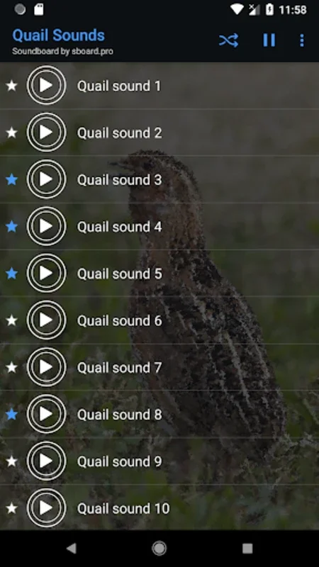 Quail Sounds for Android - High - Quality and Customizable