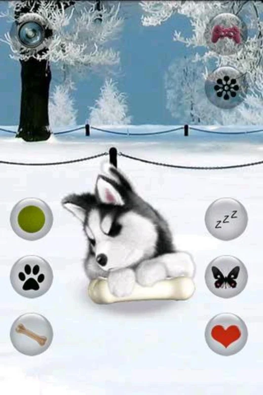 Talking Husky for Android - Fun Interactions Await