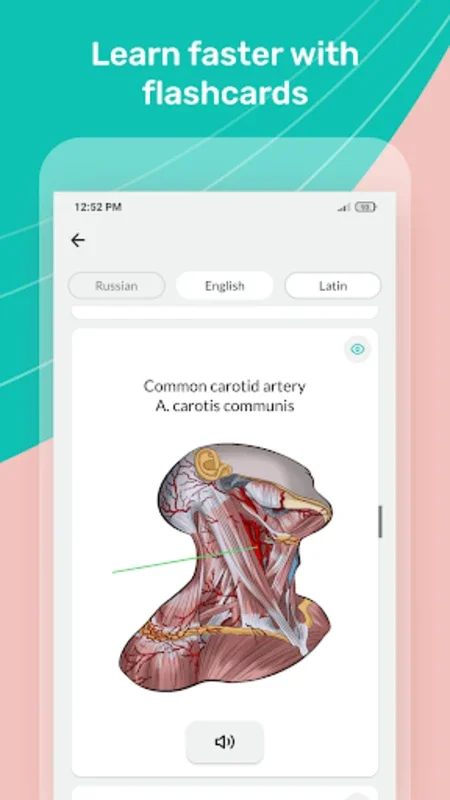 Easy anatomy. Medical atlas for Android - Explore Human Anatomy