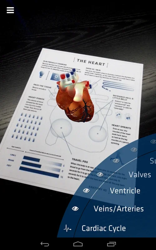 Anatomy 4D for Android: Immersive 3D Learning