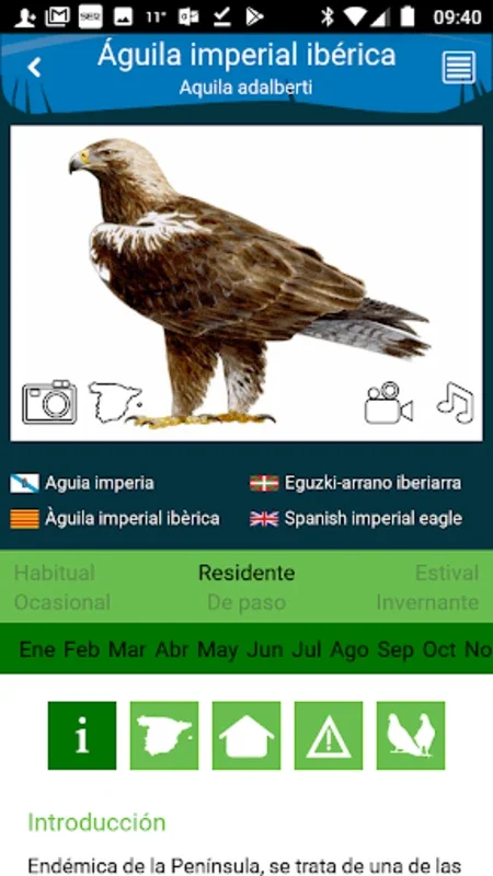 Aves de España for Android: A Comprehensive Guide to Spanish Birds