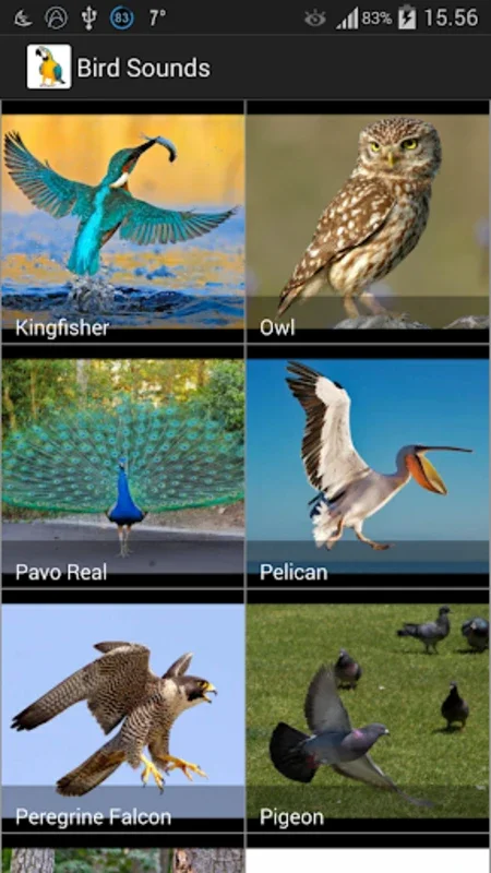 Bird Sounds for Android - Enhance Your Birding Skills