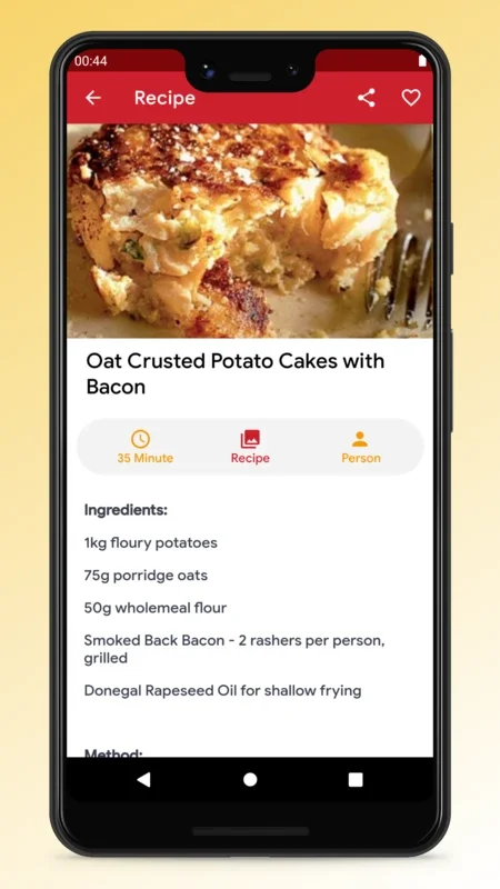 Irish Food Recipes and Cooking for Android - Explore Delicious Options