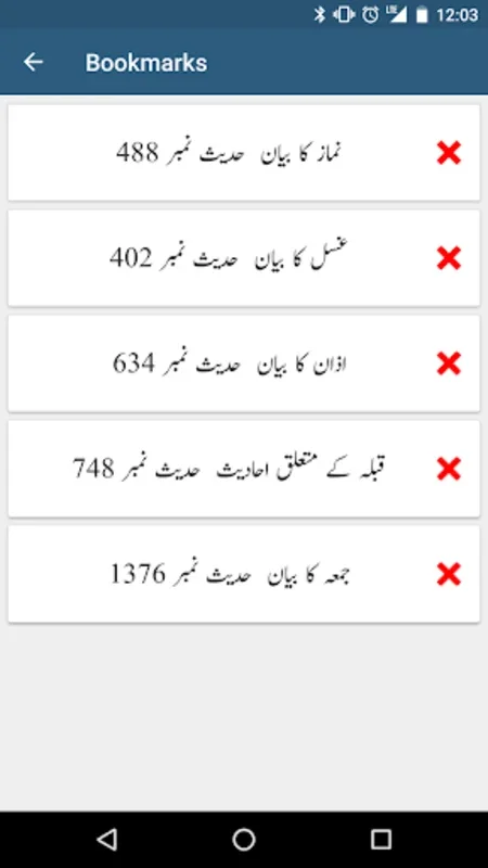 Sunan an Nasai - Android: Explore Hadiths with Translations