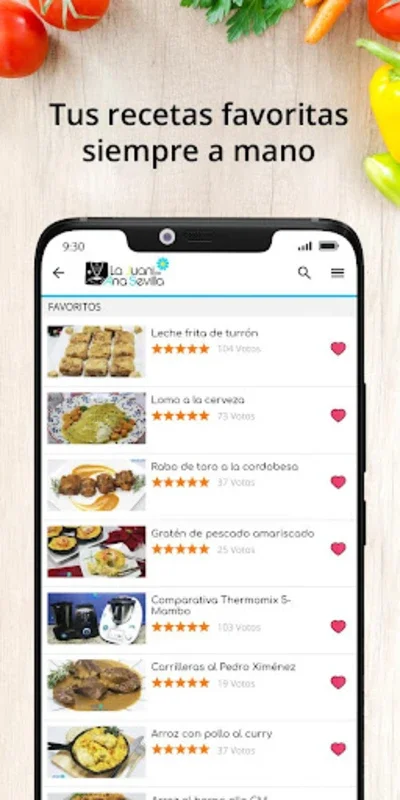 La Juani de Ana Sevilla for Android: Diverse Recipes Galore