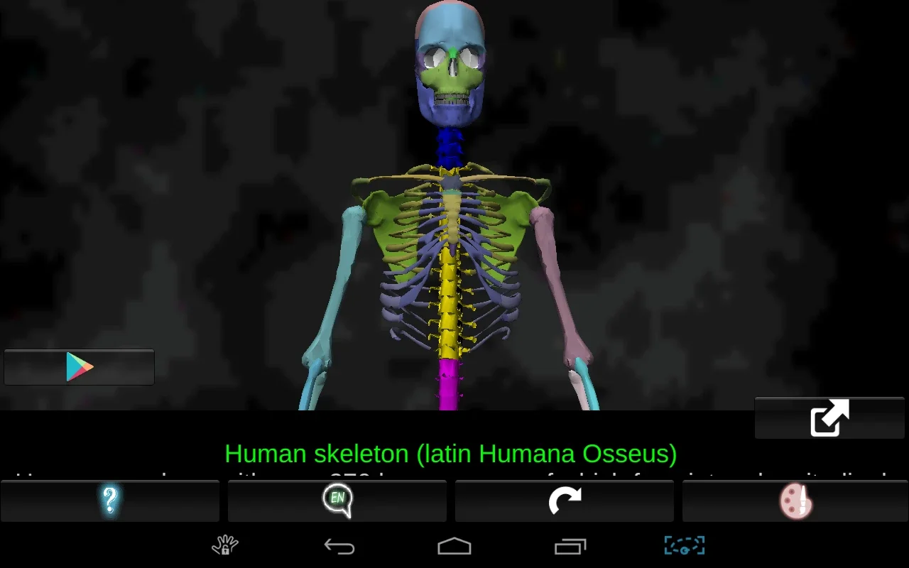 Bones Human 3D (anatomy) for Android: In - Depth Skeletal Knowledge