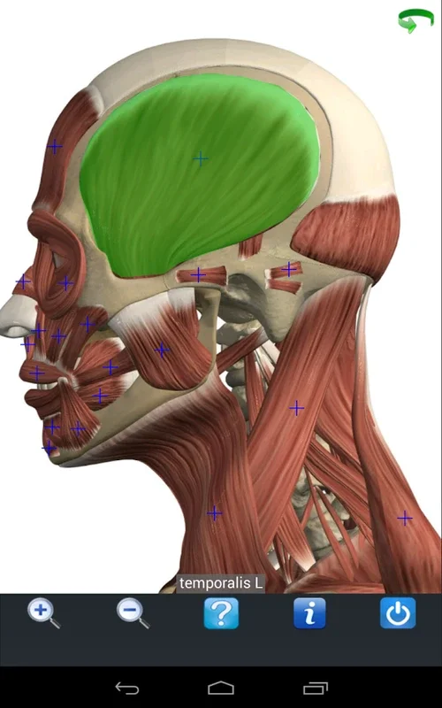 Visual Anatomy Free for Android - Enrich Your Learning