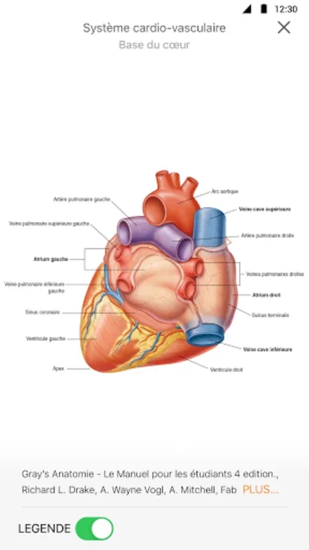 SurviveMed for Android: Simplifying Medical Studies