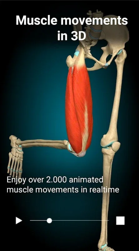 3D Anatomy Learning for Android: Immersive Anatomy Learning