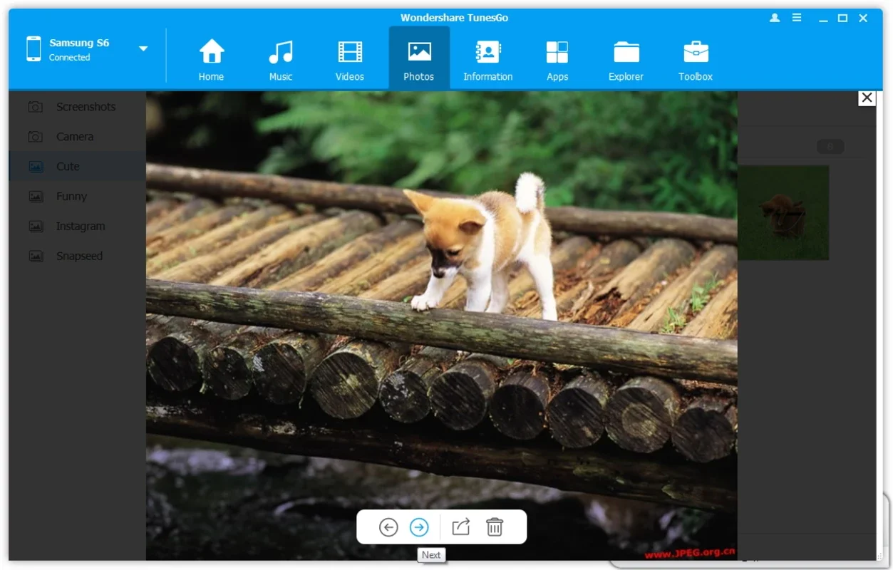 TunesGo for Windows: Enhanced Apple Device File Management