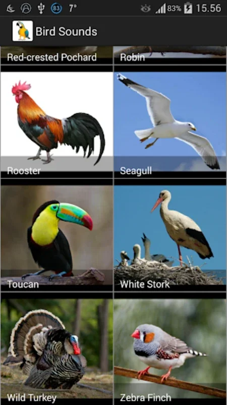 Bird Sounds for Android - Enhance Your Birding Skills