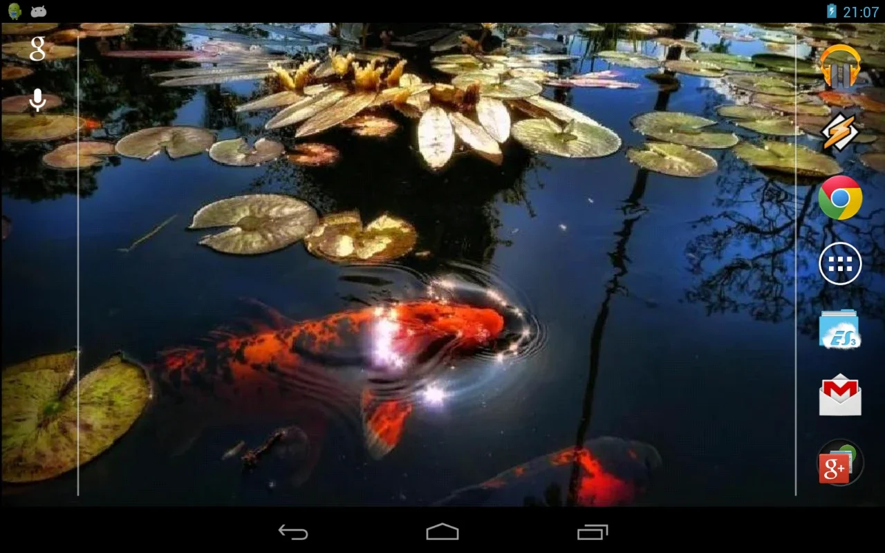 Koi Fish in the Pond for Android - Relaxing Virtual Experience