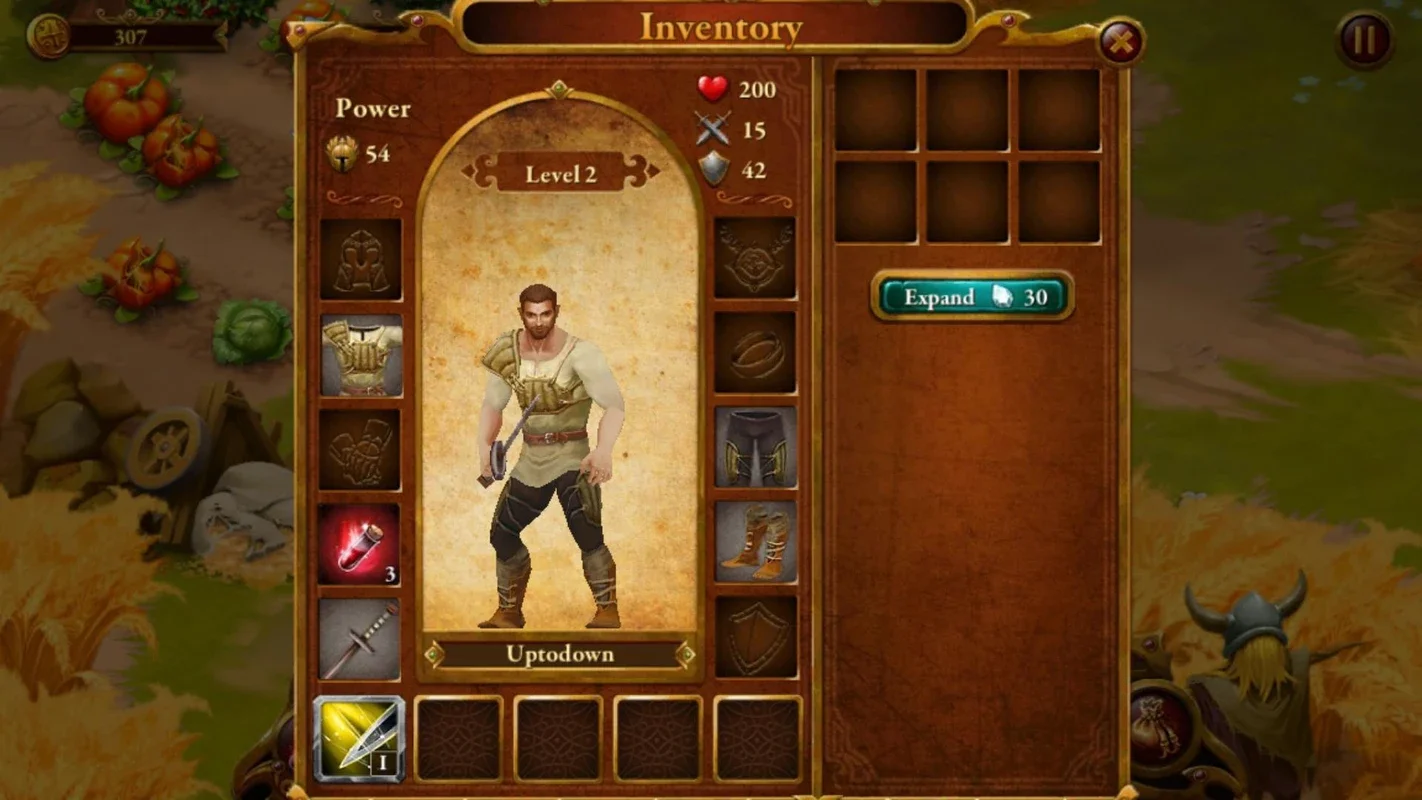 Guild of Heroes for Android: Medieval Fantasy RPG