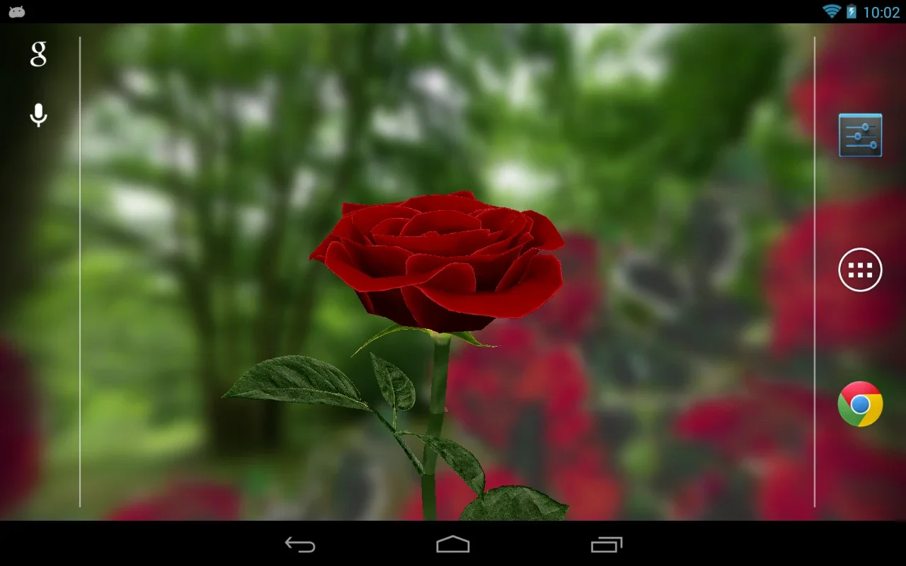 3D Rose Live Wallpaper Free for Android - An Interactive Visual Experience