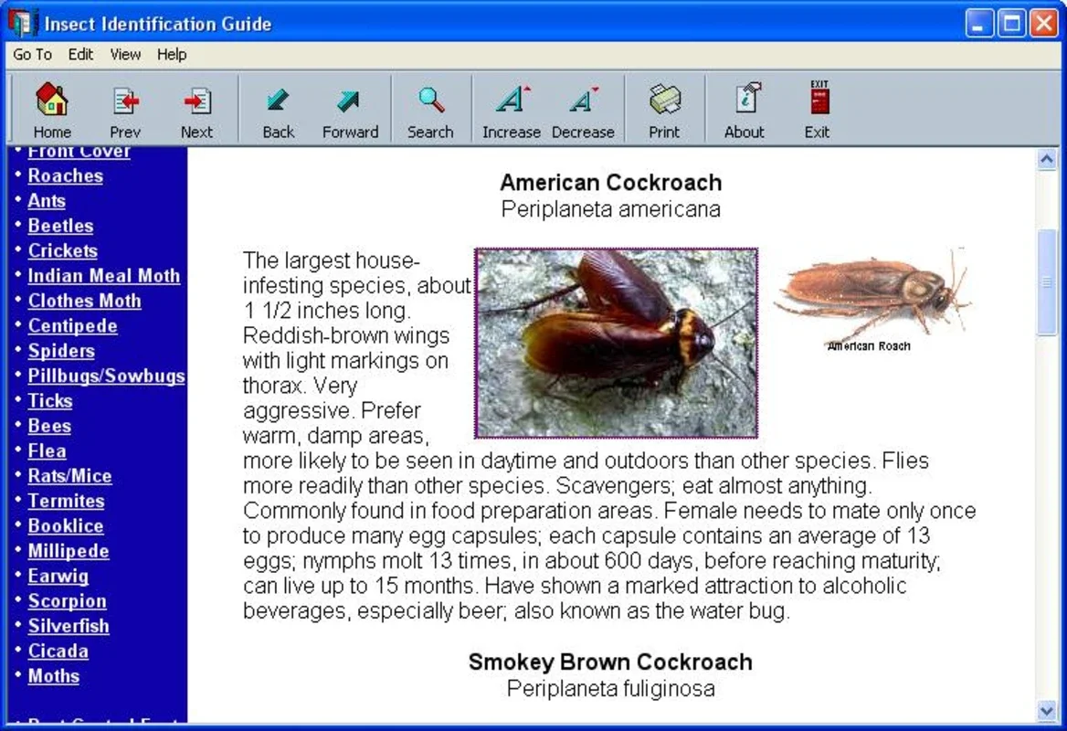 Insect Identification Guide for Windows - No Download Needed