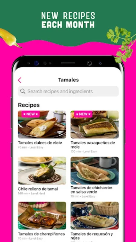 Real Mexican Recipes for Android - Authentic Recipes at Your Fingertips